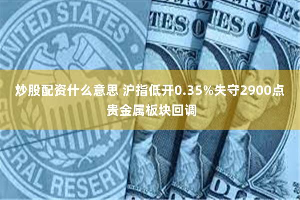 炒股配资什么意思 沪指低开0.35%失守2900点 贵金属板块回调