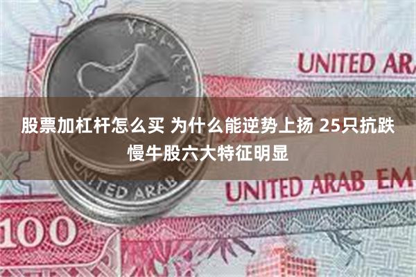 股票加杠杆怎么买 为什么能逆势上扬 25只抗跌慢牛股六大特征明显