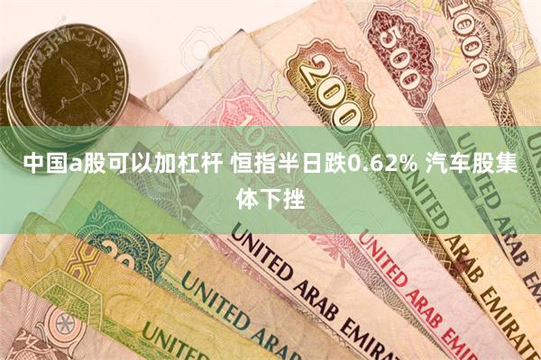 中国a股可以加杠杆 恒指半日跌0.62% 汽车股集体下挫