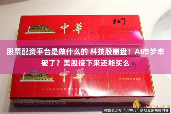 股票配资平台是做什么的 科技股崩盘！AI市梦率破了？美股接下来还能买么