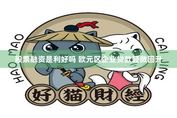 股票融资是利好吗 欧元区企业贷款轻微回升