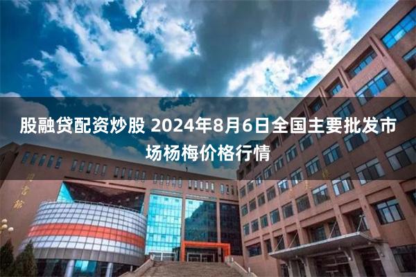 股融贷配资炒股 2024年8月6日全国主要批发市场杨梅价格行情