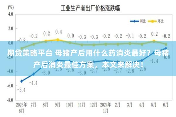 期货策略平台 母猪产后用什么药消炎最好？母猪产后消炎最佳方案，本文来解决！