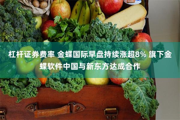 杠杆证券费率 金蝶国际早盘持续涨超8% 旗下金蝶软件中国与新东方达成合作