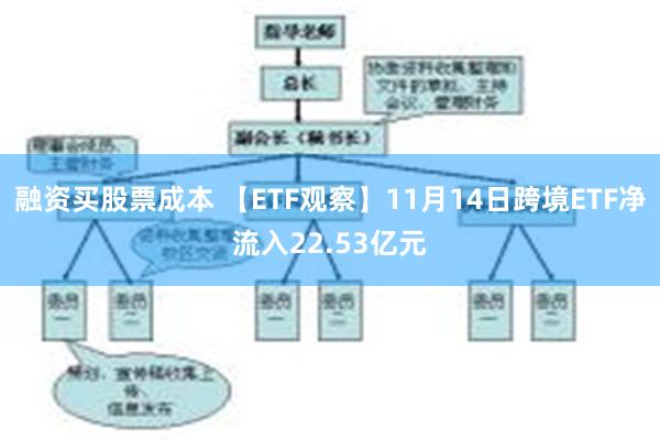 融资买股票成本 【ETF观察】11月14日跨境ETF净流入22.53亿元