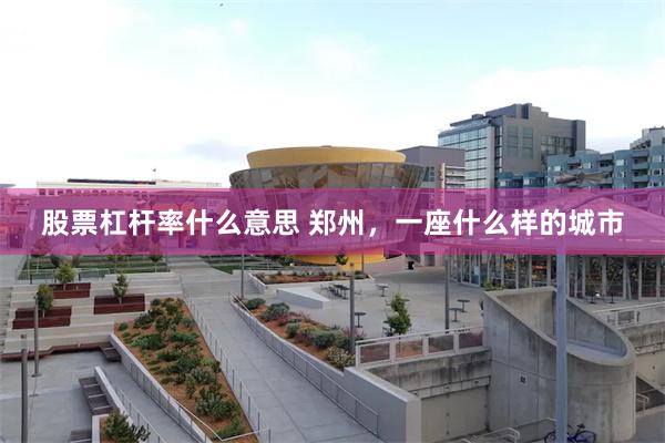 股票杠杆率什么意思 郑州，一座什么样的城市