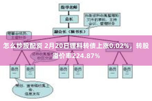 怎么炒股配资 2月20日锂科转债上涨0.02%，转股溢价率224.87%