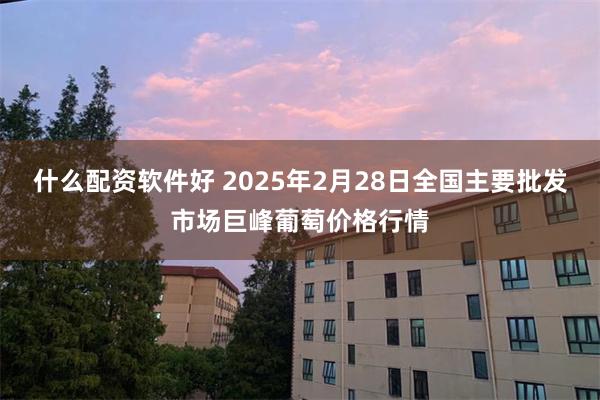 什么配资软件好 2025年2月28日全国主要批发市场巨峰葡萄价格行情