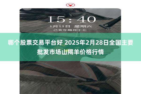 哪个股票交易平台好 2025年2月28日全国主要批发市场山羯羊价格行情