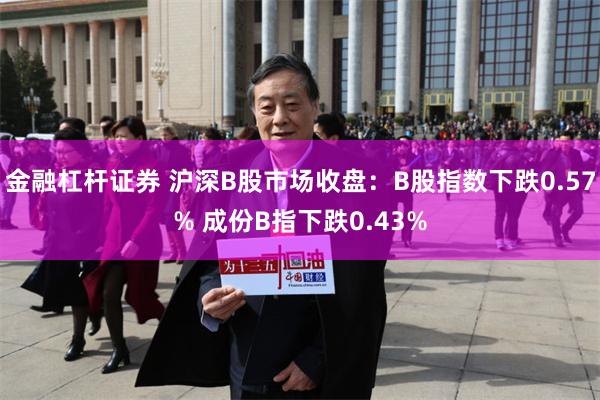 金融杠杆证券 沪深B股市场收盘：B股指数下跌0.57% 成份B指下跌0.43%