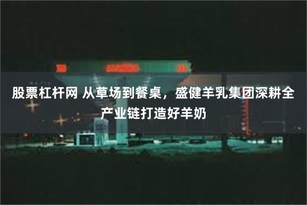 股票杠杆网 从草场到餐桌，盛健羊乳集团深耕全产业链打造好羊奶